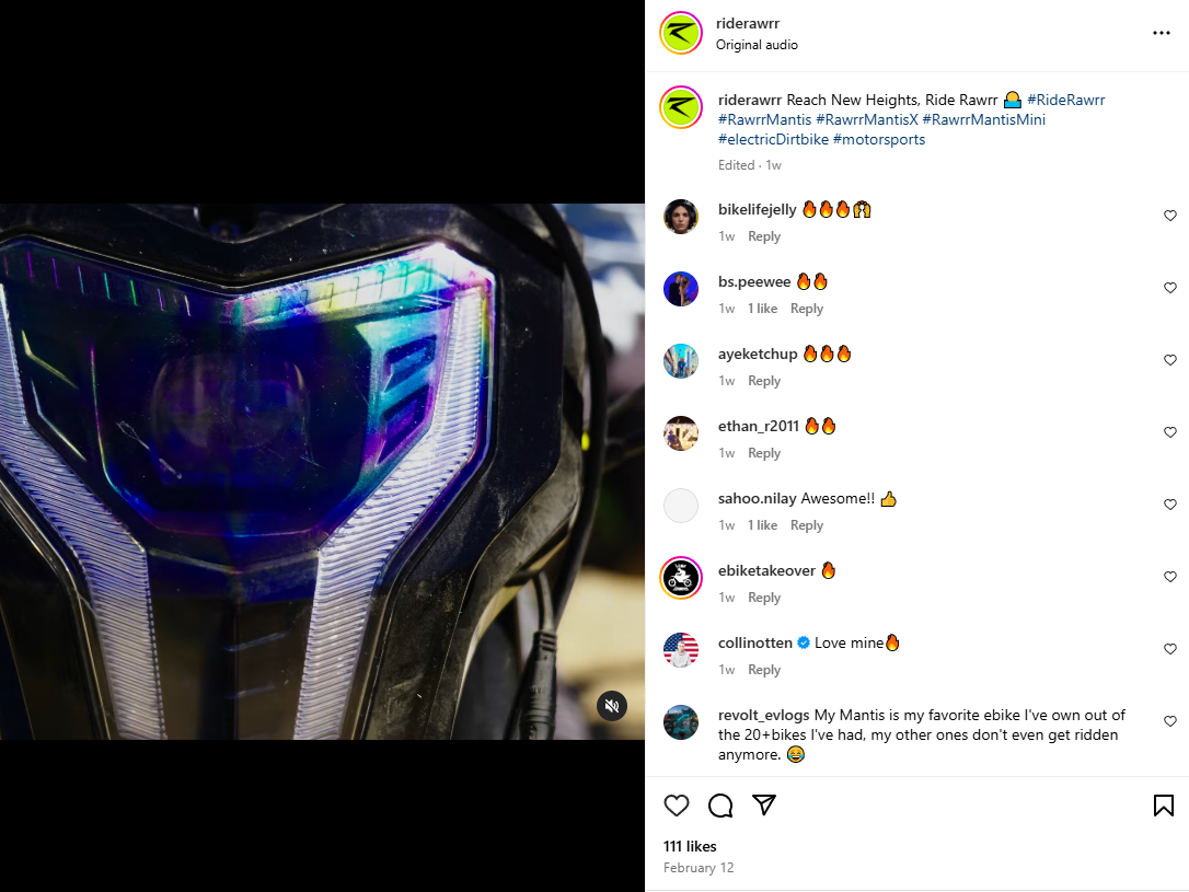 A screenshot of rawrr mantis product with posting comments from instagram