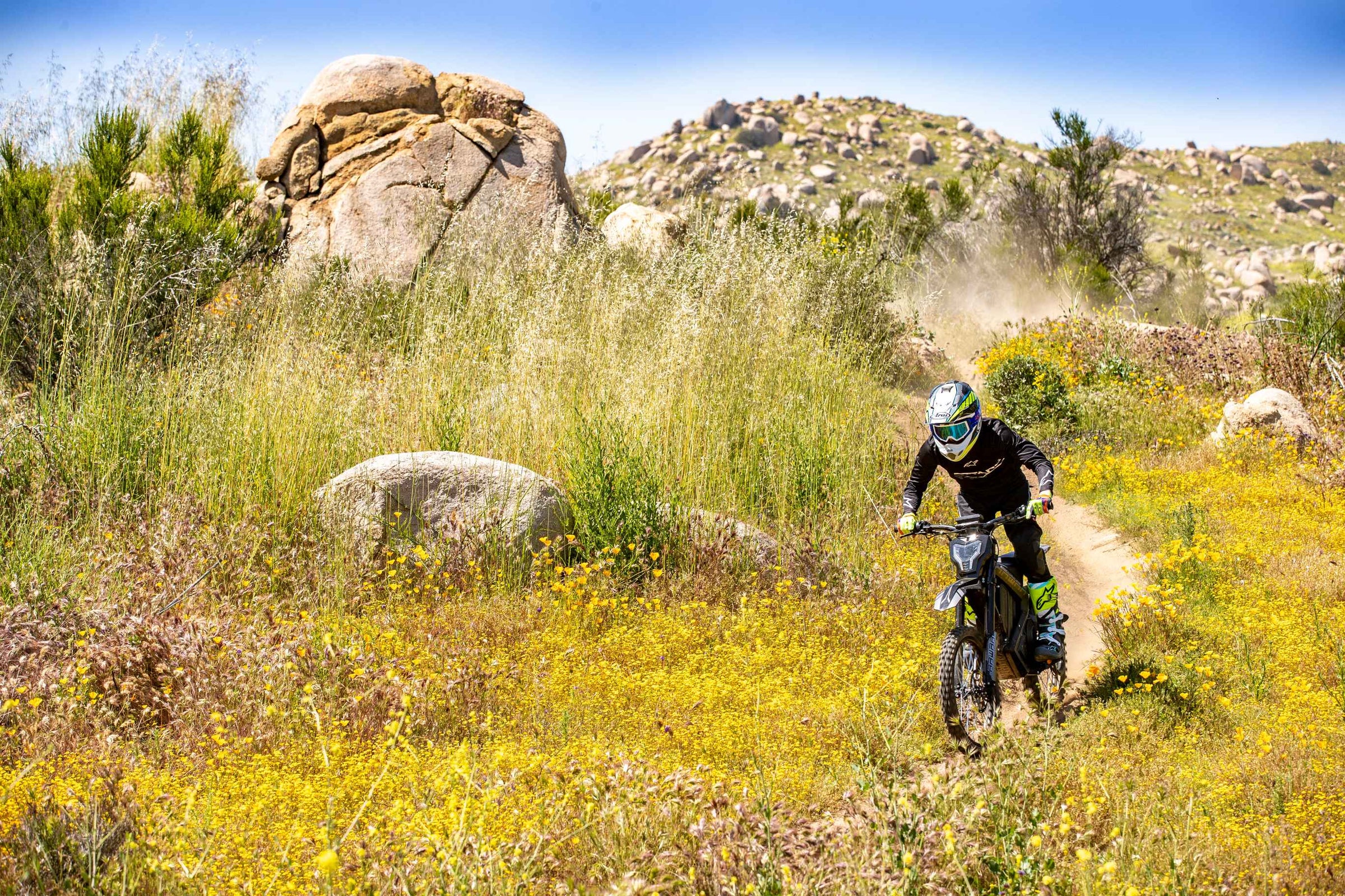 A rider is riding on a rawrr mantis model above a trail with flowers and stones.