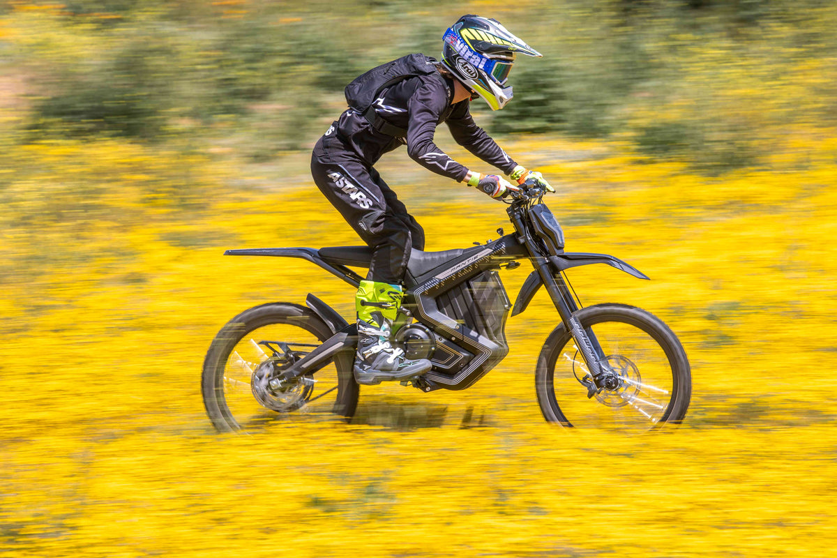 72V Mantis Model on a flower ground